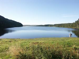 Tunstall Reservoir