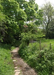 Woodland walk from the campsite to Wolsingham